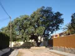 panoramio.com Lorito