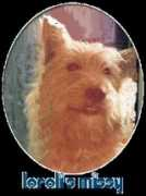 nellieanna.com Loroli