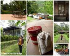 blog.faniez.net Losari