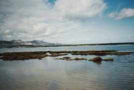 canarias7.es Losiram