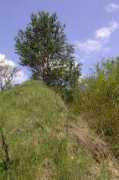 nature.hyperlink.cz Losky