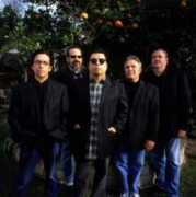 artsandissues.com Loslobos