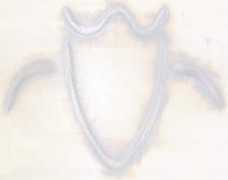 thebuckinbest.com Lostroh