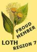 tacheiru.us Lothin