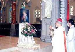 kkp.catholic.org.hk Lotong