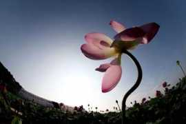 naftemporiki.gr Lotou