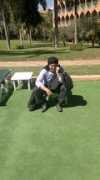 wayn.com Louahi