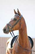 bastruphorses.com Louciano
