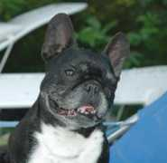 delalanderie.com Louisea