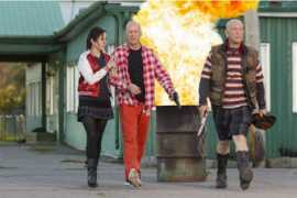 pernambuco.com Louisie