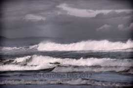 carolineellisart.com Lourne