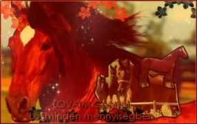lovaim.gportal.hu Lovak