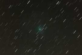 Lovejoy