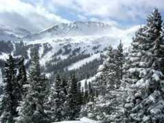 Loveland