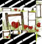 boxedart.com Lovenature