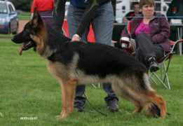 nikonisgsd.co.uk Lowgan