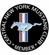 cnymustang-allford.com Lowies