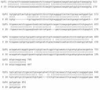 ejbiotechnology.ucv.cl Lowrence