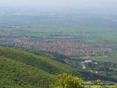 picturesofbulgaria.com Lozen