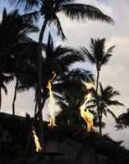 Luau
