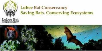 archive.constantcontact.com Lubee