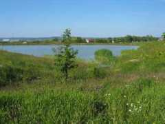 Lubensky