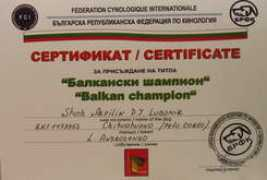 chihuahua.ru Lubiks