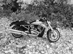 motorkari.cz Lubiks