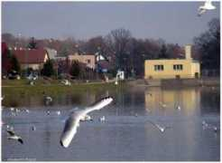 elisabeth1.flog.pl Lubisz