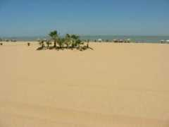 Lucar