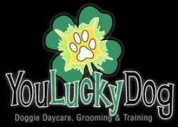 Luccky