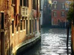 Luce