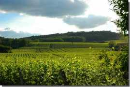 Lucenay