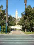 alicante-spotlight.com Luceros