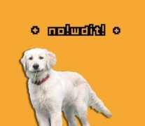 geocities.co.jp Luceta