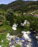 Luceto