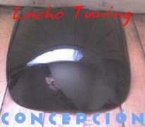 concepcioncity.cl Luchar