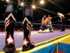 Luchas