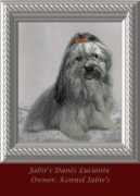 havanesegallery.hu Luciente