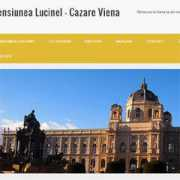zona-publicitara.ro Lucinel