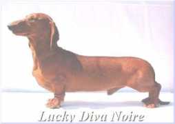 divanoire.fw.hu Luckis
