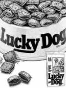 Lucydog