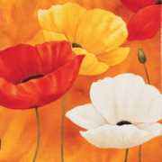 allposters.com Luffarelli