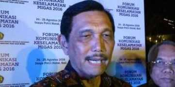 Luhut