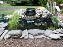macarthurwatergardens.com Luick