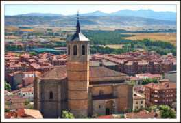 Luighi