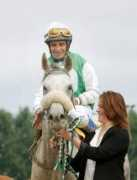limelightarabians.se Luissantos
