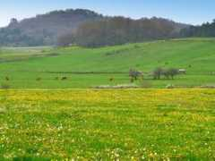 panoramio.com Lukiano