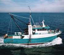 lukinfisheries.com.au Lukina