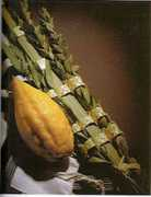 Lulav
